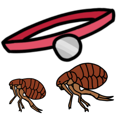 two small fleas below a red collar with a silver tag